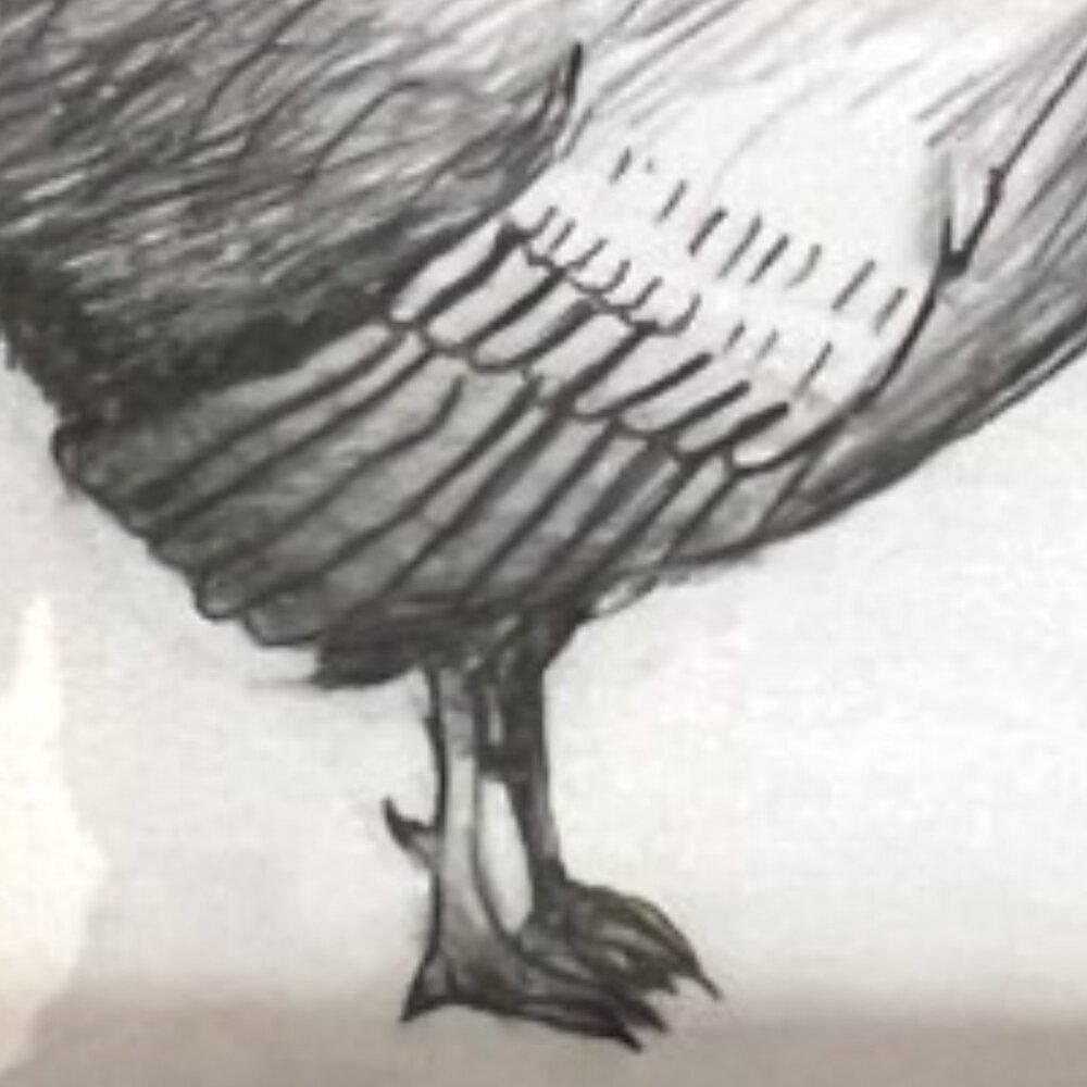 ROOSTER DRAWING White Ornate Cream Frame Signed Pencil Drawing 10.75" x 7.75" H - Picture 3 of 12